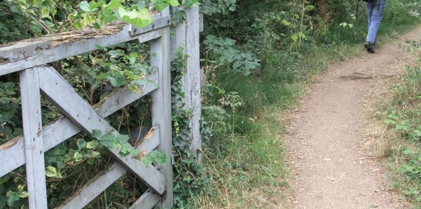 Routes that alternate between riverside towpaths and high hedgerows