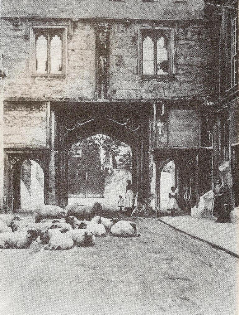 Sheep resting in the Abbey   Gateway in about 1890, on their way to market.
