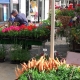 Market stalls featuring flowers and vegetables