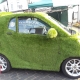 Grass Car in the Market Place