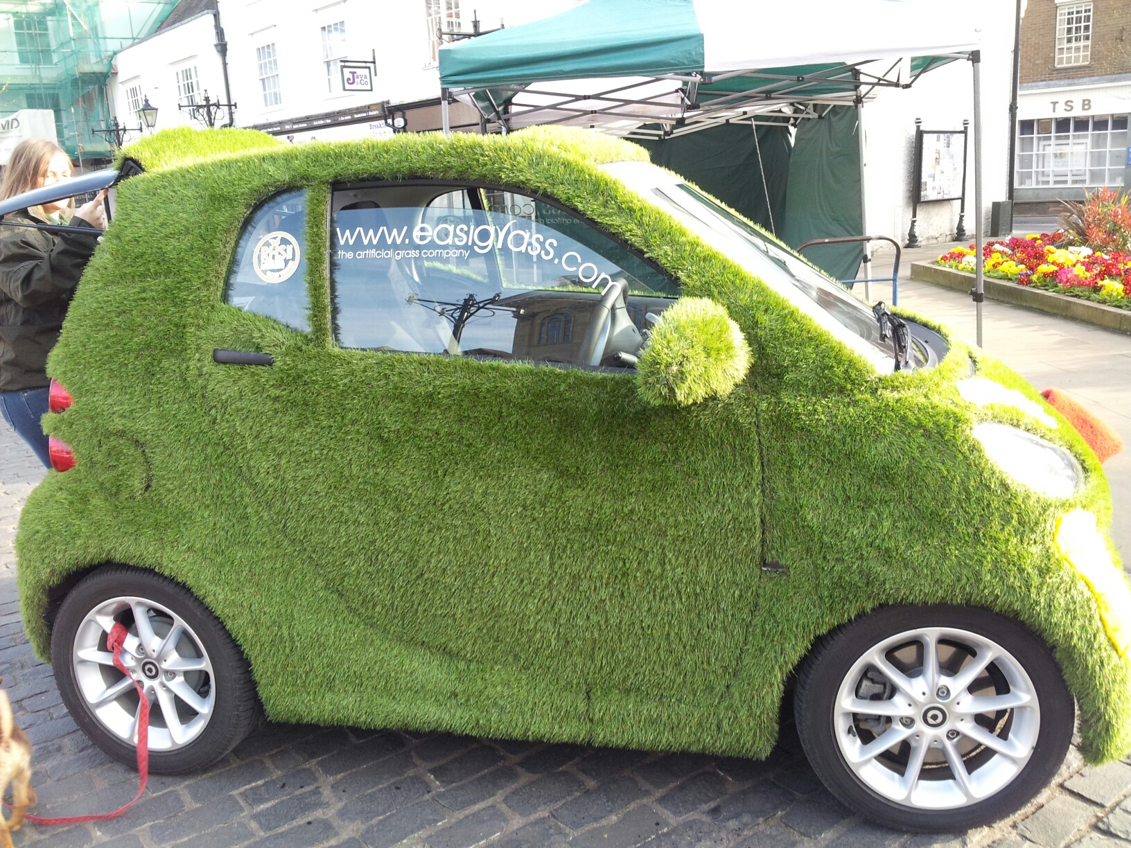 Grass Car in the Market Place