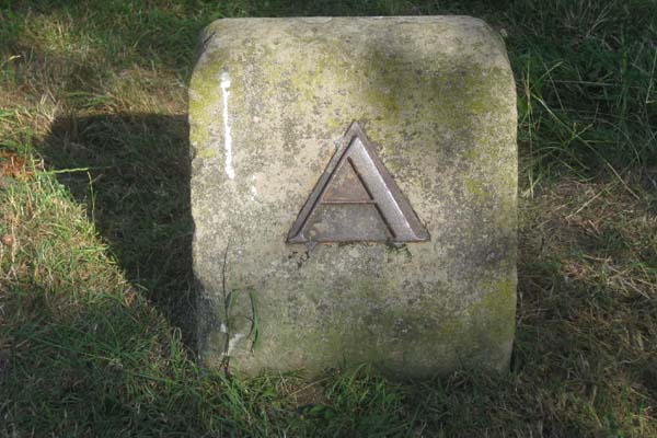 Figure 2 Boundary marker stone near Thames path (© D Clark)